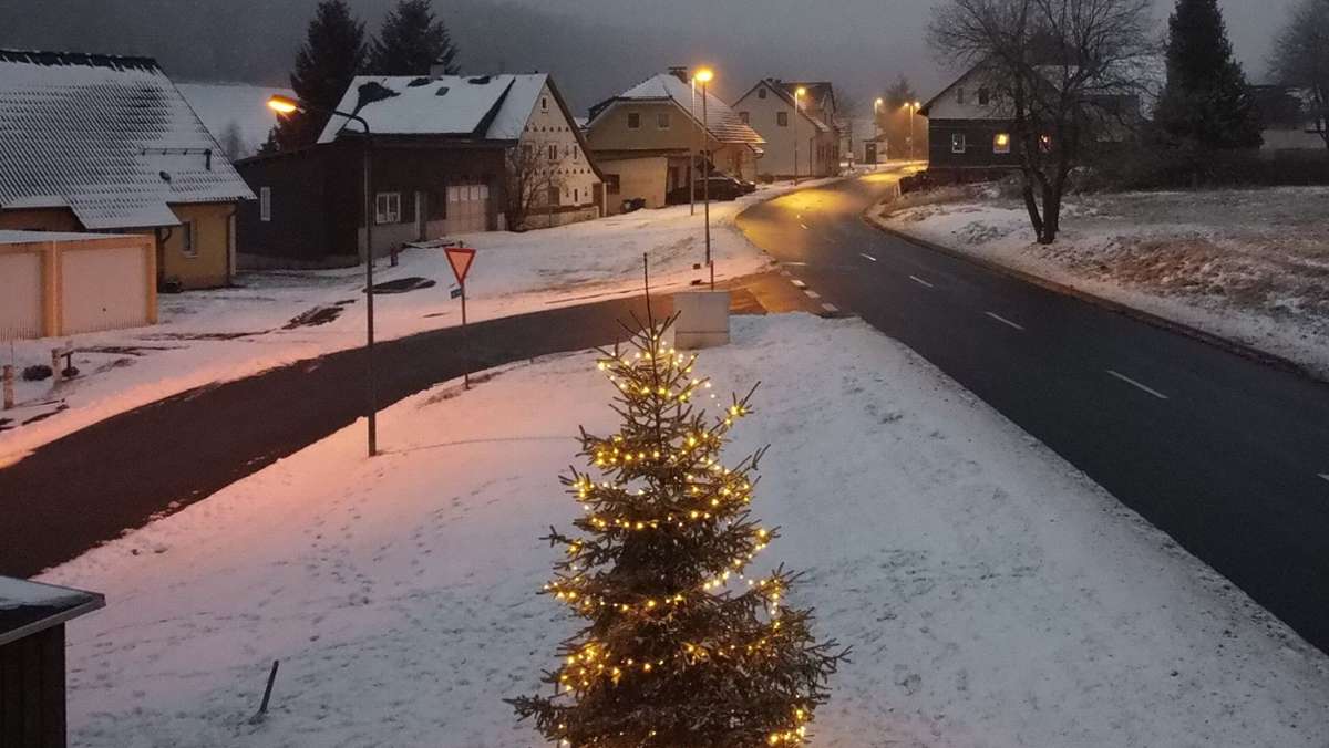 Adventszeit und leuchtende Hingucker in Neuhaus: Von der nadelnden Nullnummer bis zur doppelten Weihnachtsbaum-Wiederkehr