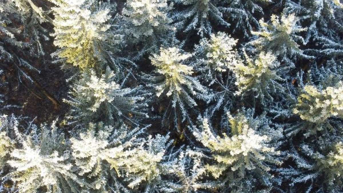 Thüringen: Winter: In Thüringen war es bundesweit am kältesten