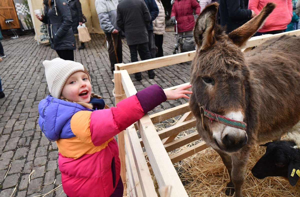 Auch Schafe und ein Esel bereichern den Eisfelder Weihnachtsmarkt – zur besonderen Freude der jungen Besucher.