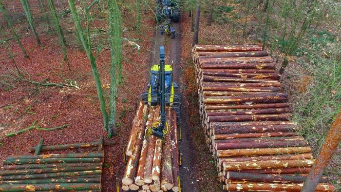 Stürme führen zur größten Holzernte seit 2007