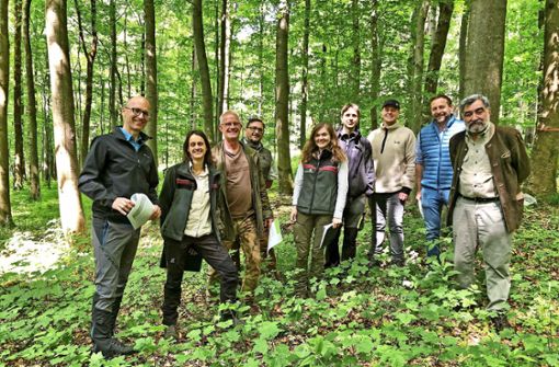 Im grünen Bereich: Forstleute und Kommunalpolitiker bei der Waldbegehung. Foto: privat