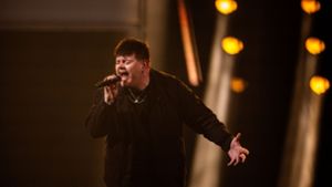 Eurovision Song Contest: ESC-Finale unter Sicherheitsvorkehrungen