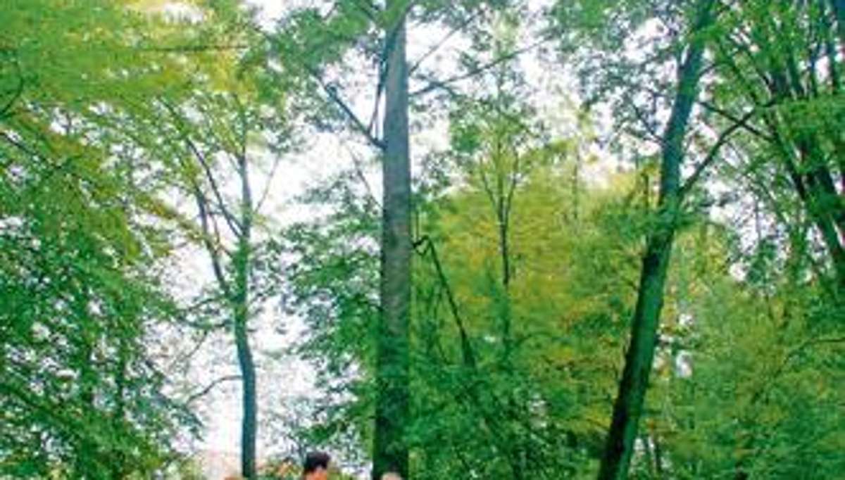 Hildburghausen: Schönster Baum des Jahres steht in Wachenbrunn