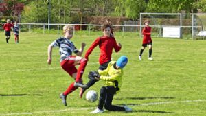 Thüringenpokal, D-Junioren: Zum Pokalfinale nach Sondershausen