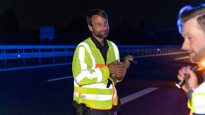 Polizisten retten Ente von A73