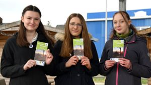 Neuhäuser Schulprojekt: Trio entwirft Flyer mit touristischem Nutzen
