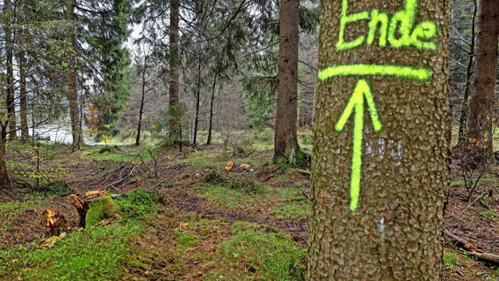 Waldschäden: Quo vadis, Wald?