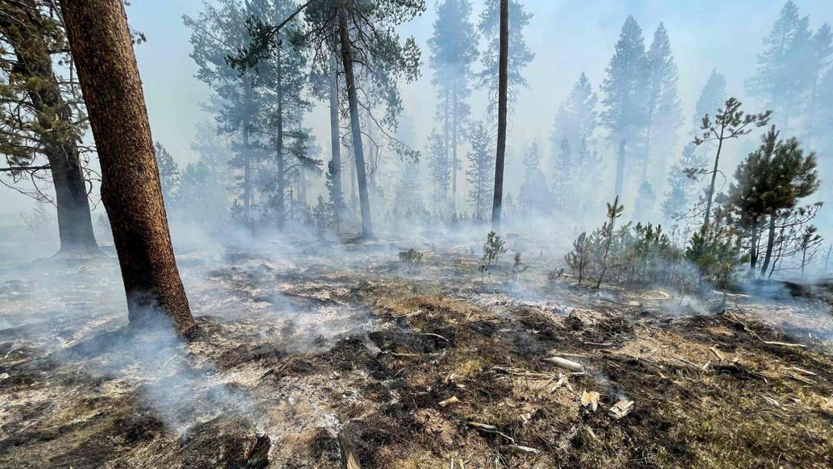 Oregon: Waldbrand breitet sich aus