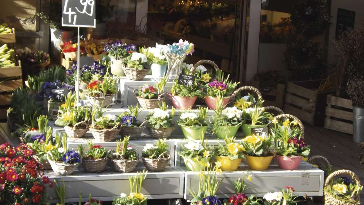Hildburghausen: Betrüger erbeuten in Blumenladen mehrere hundert Euro