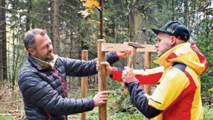 Baumpaten mit sportlichen Wurzeln in Oberhof