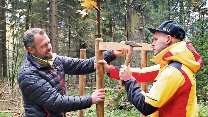 Baumpaten mit sportlichen Wurzeln in Oberhof