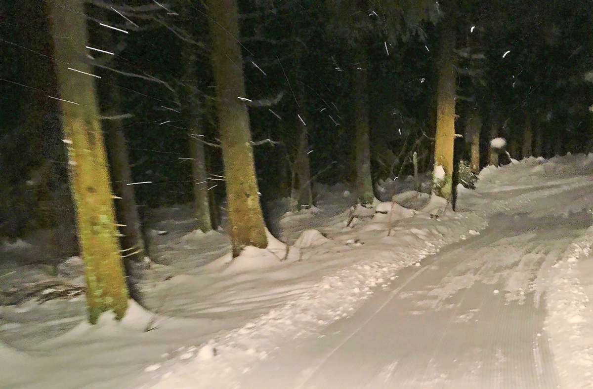 Die Raupe im Winterwald. Foto: privat