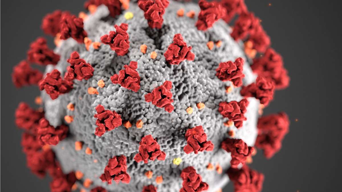 Coronapandemie: Coronavirus: Inzidenz bleibt beinahe unverändert