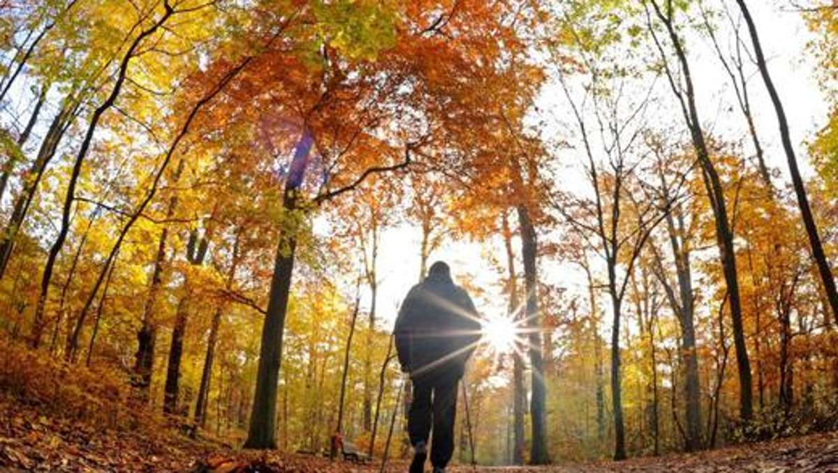 Thüringen: Goldener Herbst bringt sonnige Oktobertage