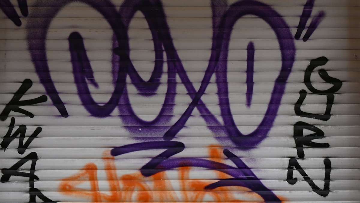 Beschlussvorlage: AfD beantragt   städtisches Geld gegen Graffitis