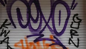 AfD beantragt   städtisches Geld gegen Graffitis