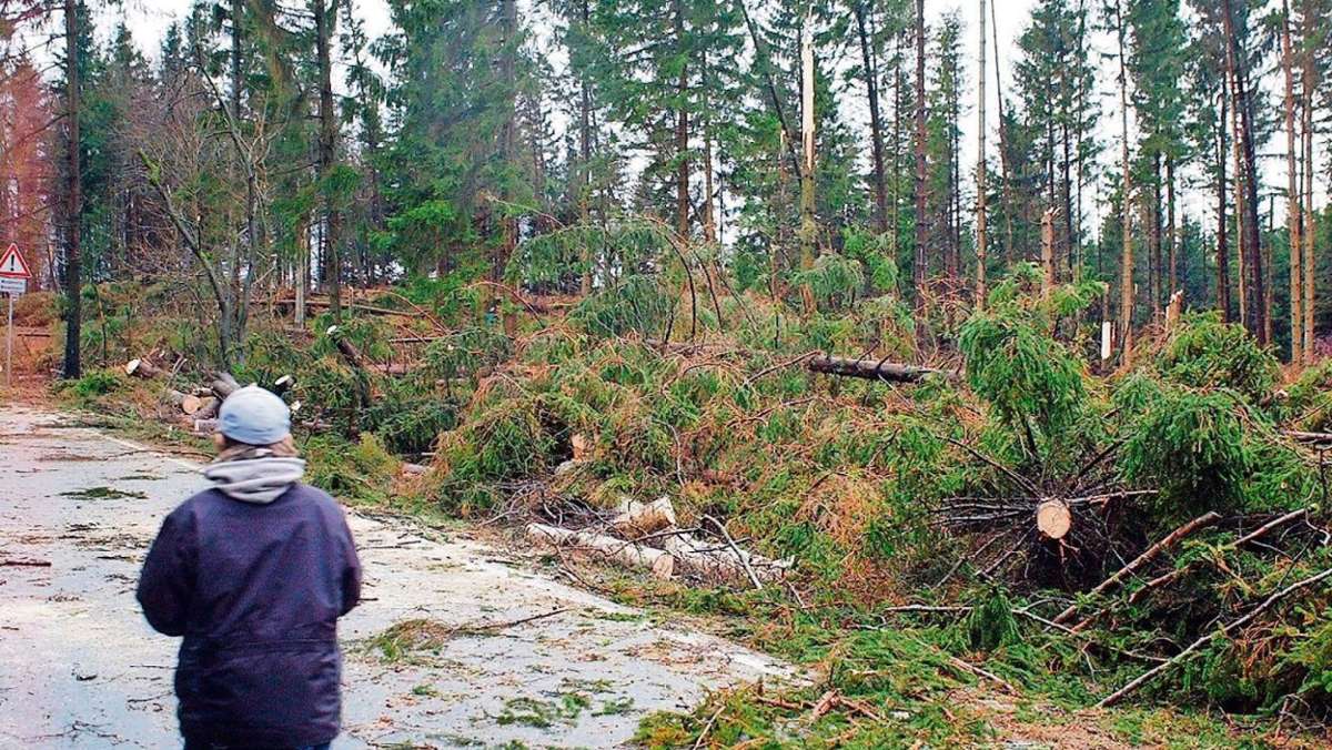 Thüringen: Orkan verursacht Forstschäden von etwa 35 Millionen Euro