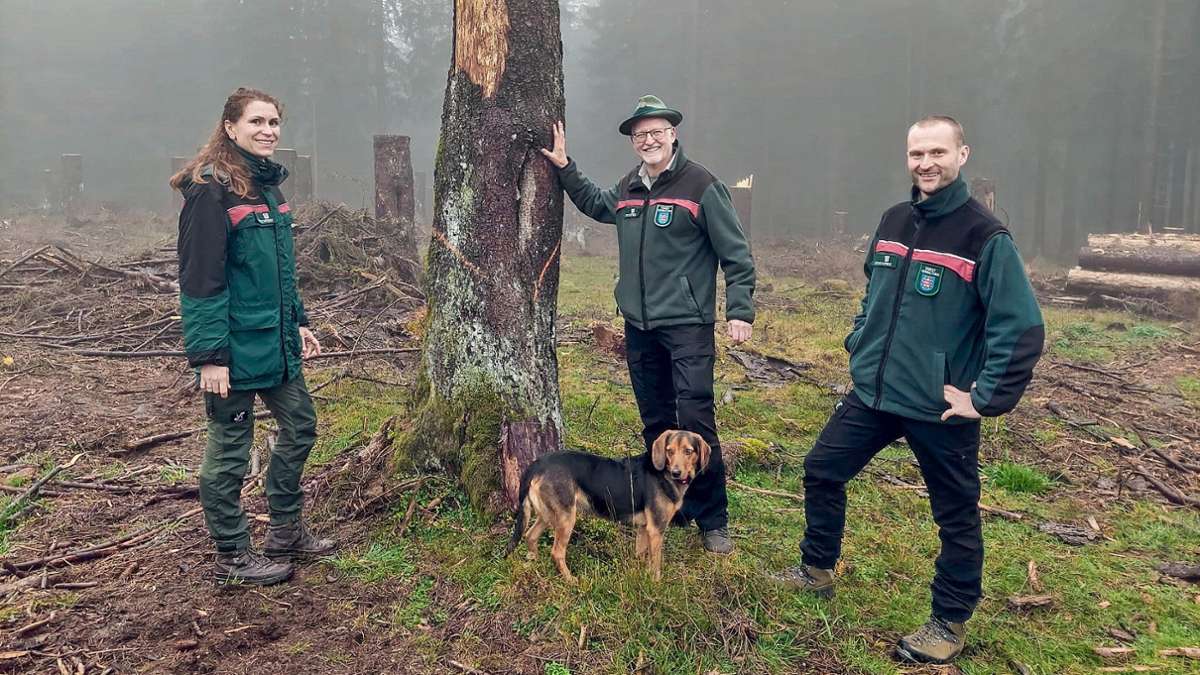 Frauenwald und Morast: Zwei neue Revierleiter im Forstamt