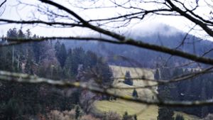 Land kauft großen Forst am Ruppberg