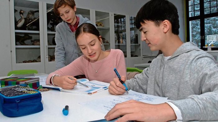 Goetheschule räumt bei Wettbewerb ab