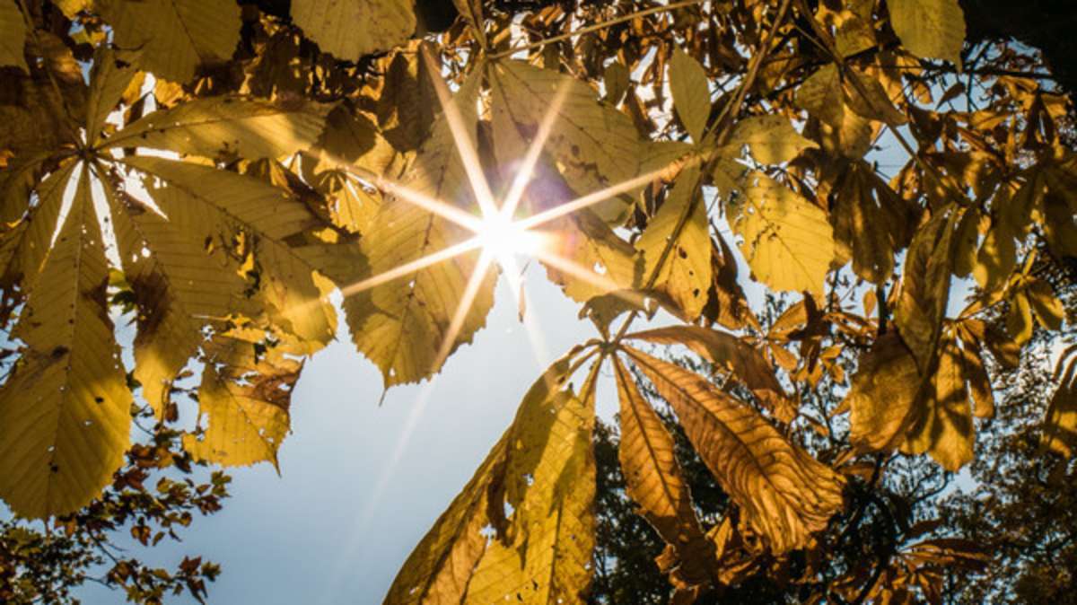 Thüringen: Hoch Tanja bringt goldenen Herbst und über 20 Grad