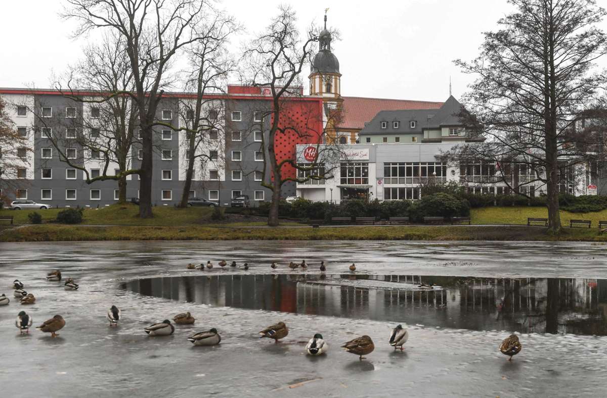 Im Dezember war der Herrenteich im Herzen der Stadt Suhl schon einmal  fast zugefroren. Foto: frankphoto.de