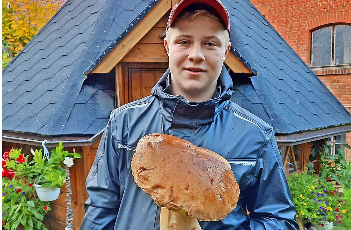 Jannik Marr hat einen Riesensteinpilz gefunden. Foto: privat