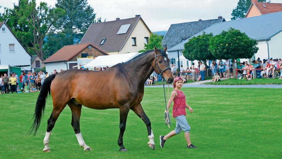 Lokalsport Sonneberg: Stolzes Pferd, glücklicher Gewinner