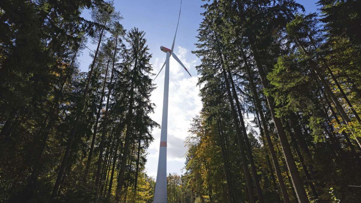 Energie: Bürgerinitiative  gegen Windräder im Wald will sensibilisieren