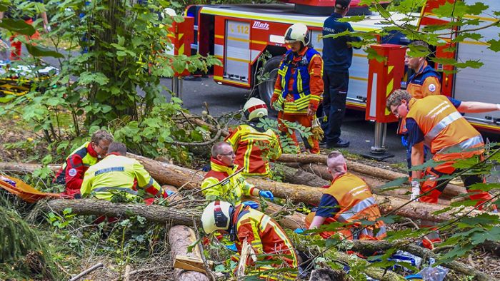 Rettungskräfte proben Waldunfall