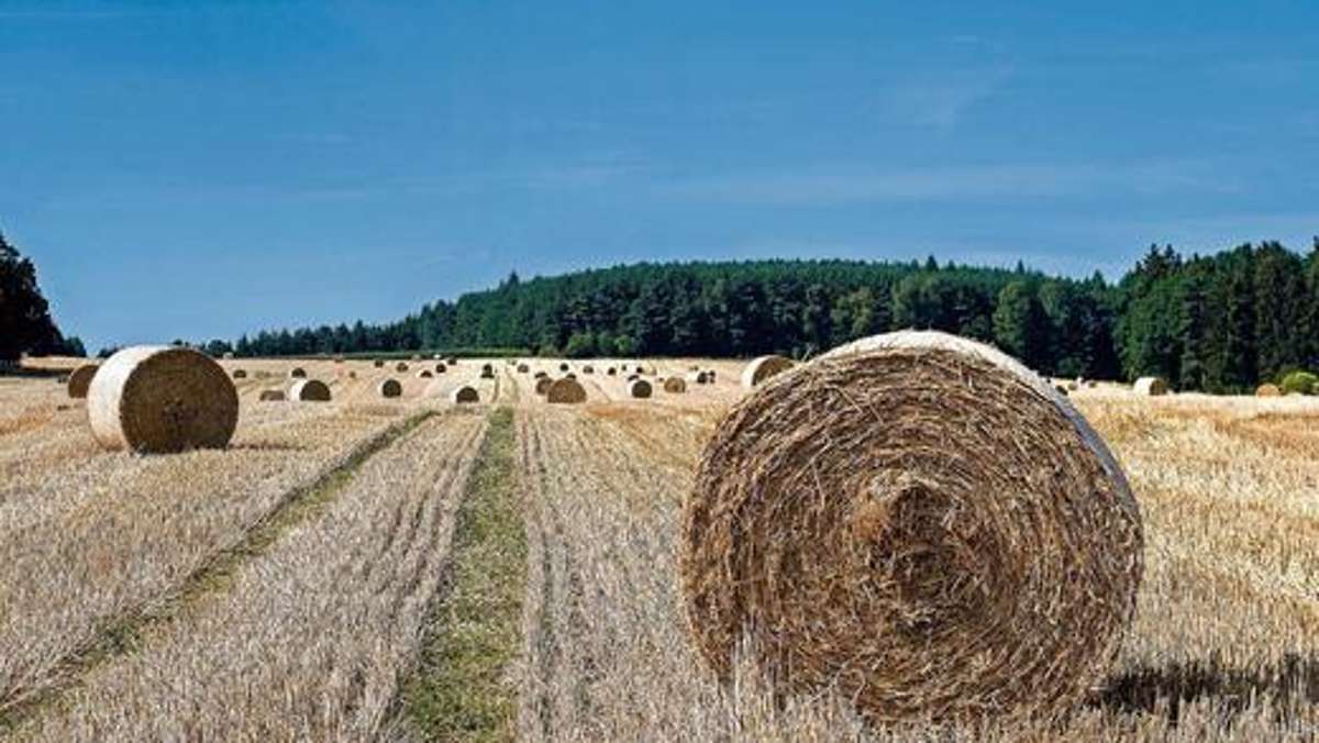 Thüringen: Bauern starten die Getreideernte - Erträge «nicht optimal»