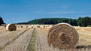 Bauern starten die Getreideernte - Erträge «nicht optimal»