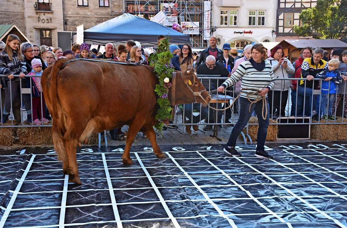 Kuh-Bingo in Schmalkalden, hier ein Foto mit Kuh Rosel aus dem vergangenen Jahr. Foto:  