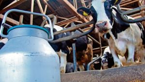 Krisengebiet Milchmarkt