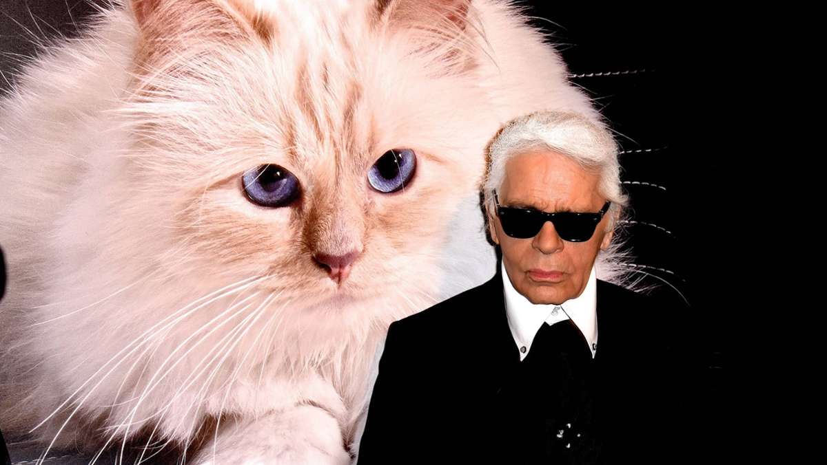 Karl Lagerfeld: Nachlass wird versteigert – wer will die Näpfe von Katze Choupette?