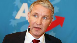 AfD-Wahlprogramm: Thüringen fast ohne Windkraft, MDR und Ausländer