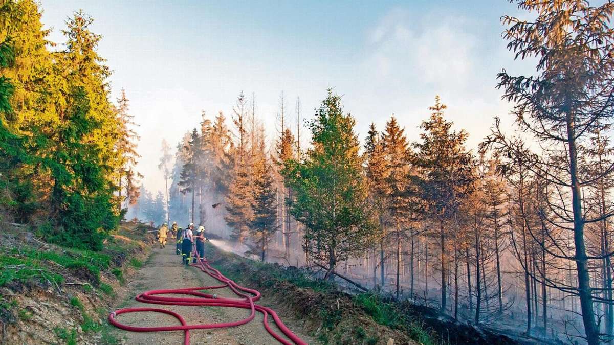 Thüringen: Bereits 24 Waldbrände in diesem Jahr in Thüringen