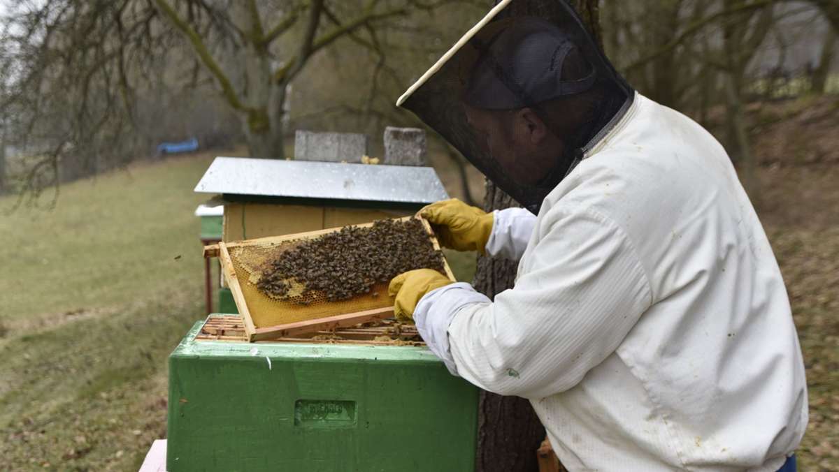 Hobbyimker aus Otzbach: Wenn die Bienen Hosen anhaben