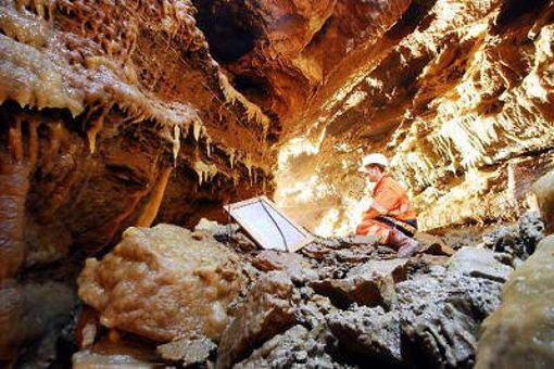 Ein einzigartiges Höhlensystem wurde bei Baurabeiten für die ICE-Strecke Erfurt-Nürnberg im Bleßberg entdeckt. Foto: camera900.de
