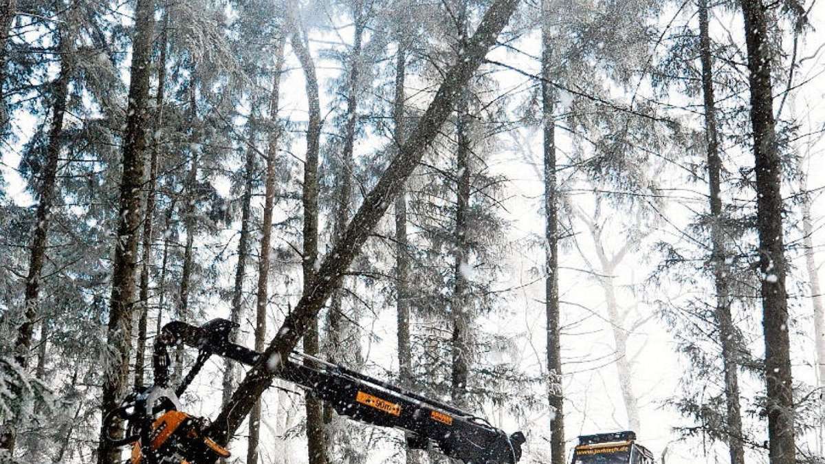 Thüringen: Forstleute wollen lieber Technik statt Handarbeit