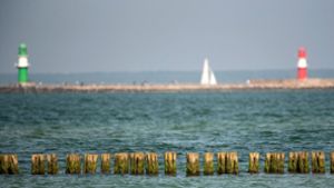 Studie verweist auf Thallium-Belastung der Ostsee