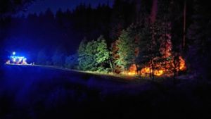 An der Autobahn A 73: Waldbrand: Nachtschicht für Feuerwehren