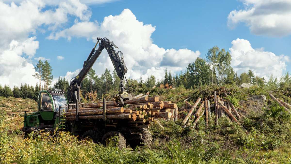 Oberhof: Waldbesitzer dürfen  mehr als Gärtner
