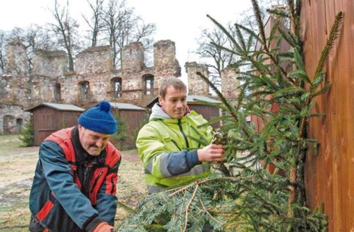 Die Schlossruine soll 2022 wieder stimmungsvoller Hintergrund für den Gehrener Weihnachtsmarkt sein. Foto: privat