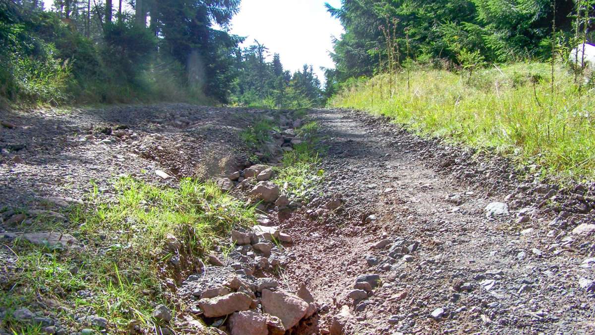 Forst warnt: Sommerunwetter zerstören Waldwege