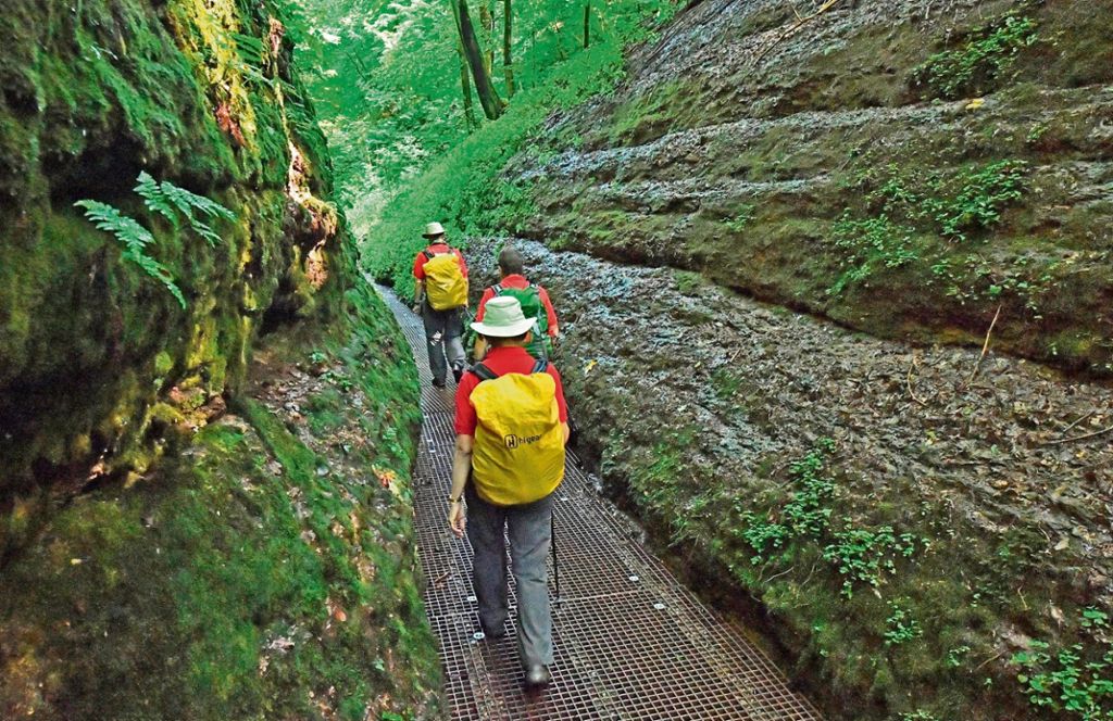Die Drachenschlucht - einer der Top-Wanderwege in Thüringen und ein beliebtes Ausflugsziel. Foto: dpa
