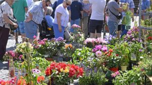 Buntes Markttreiben in Bad Salzungen: Hunderte Besucher in die City gelockt