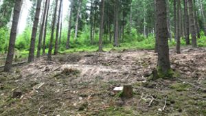 Bunker im Wald bei Mäbendorf sind weg