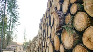 Forstwirtschaft: China kauft weniger Schmalkalder Holz