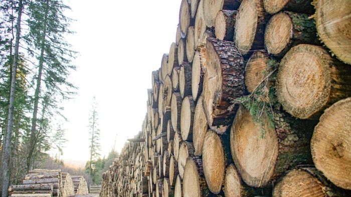 China kauft weniger Schmalkalder Holz